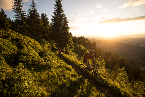 A couple of mountain bikers cycle along a narrow natural path and the sun sets behind the fir trees.